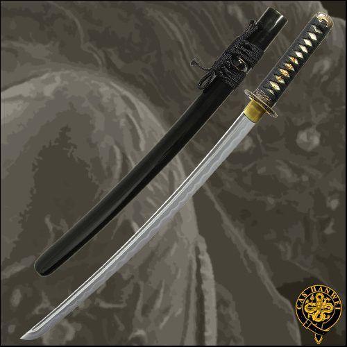 Shinto Wakizashi - Paul Chen Hanwei SH1015