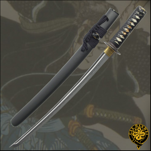 Miyamoto Musashi Wakizashi - Paul Chen Hanwei SH1017