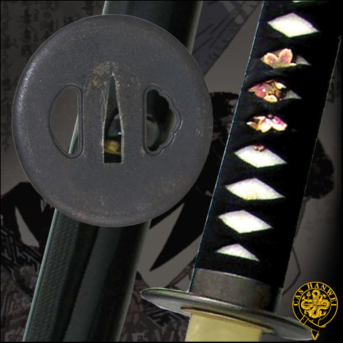 Practical Katana - Paul Chen Hanwei SH1070